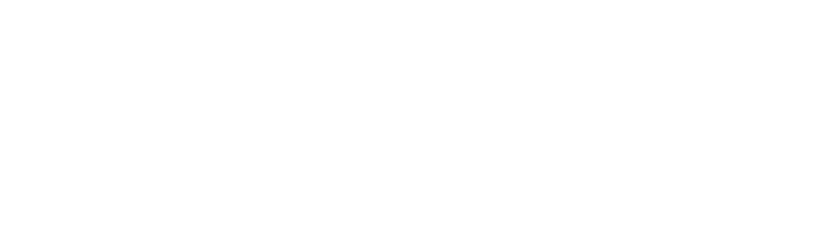 Insol Europe
