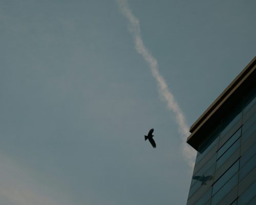 abhishek-s-et7FpWl0hYQ-unsplash